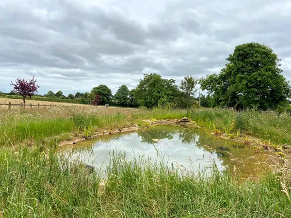 The Habitat Project by Monkey Business Design Bristol