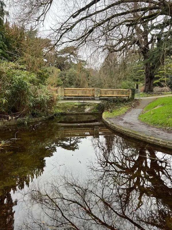 Renovated timber bridge in Royal Victoria Park, Bath - Monkey Business Design