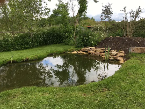 Jonny's Pond Somerset - photograph 3