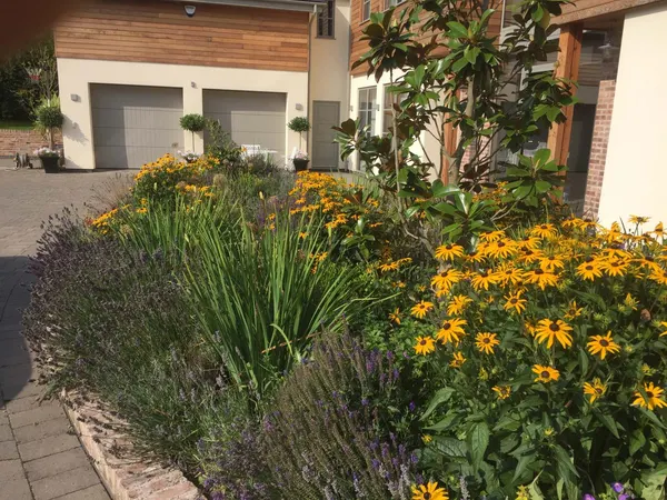 Planted garden border with ornamental grasses and perennials - Monkey Business Design