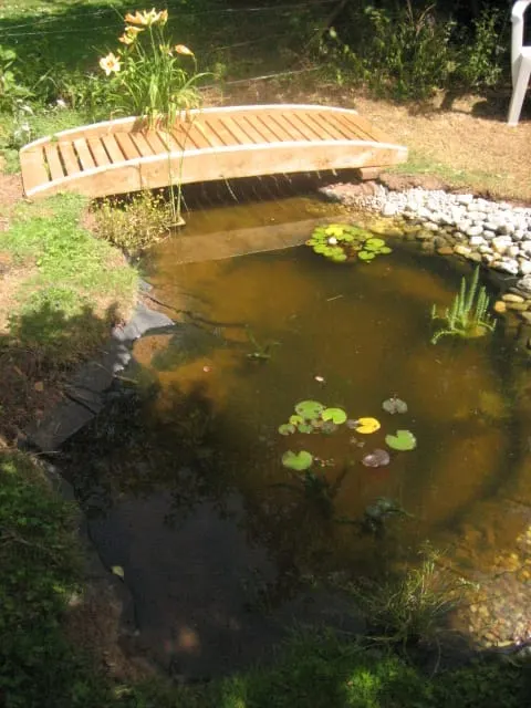 Newly excavated garden pond with stone edging - Monkey Business Design
