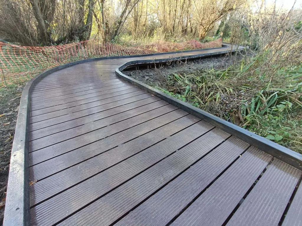 Curving timber boardwalk built through Manor Road Community Woodland by Monkey Business Design