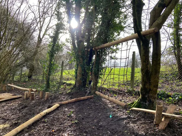 Weston Rec Woodland Trail Bath, 2026 - photograph 3
